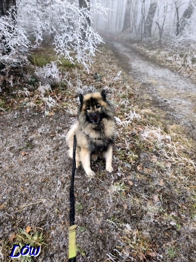 16.12.2025 - Im Reif gelandet